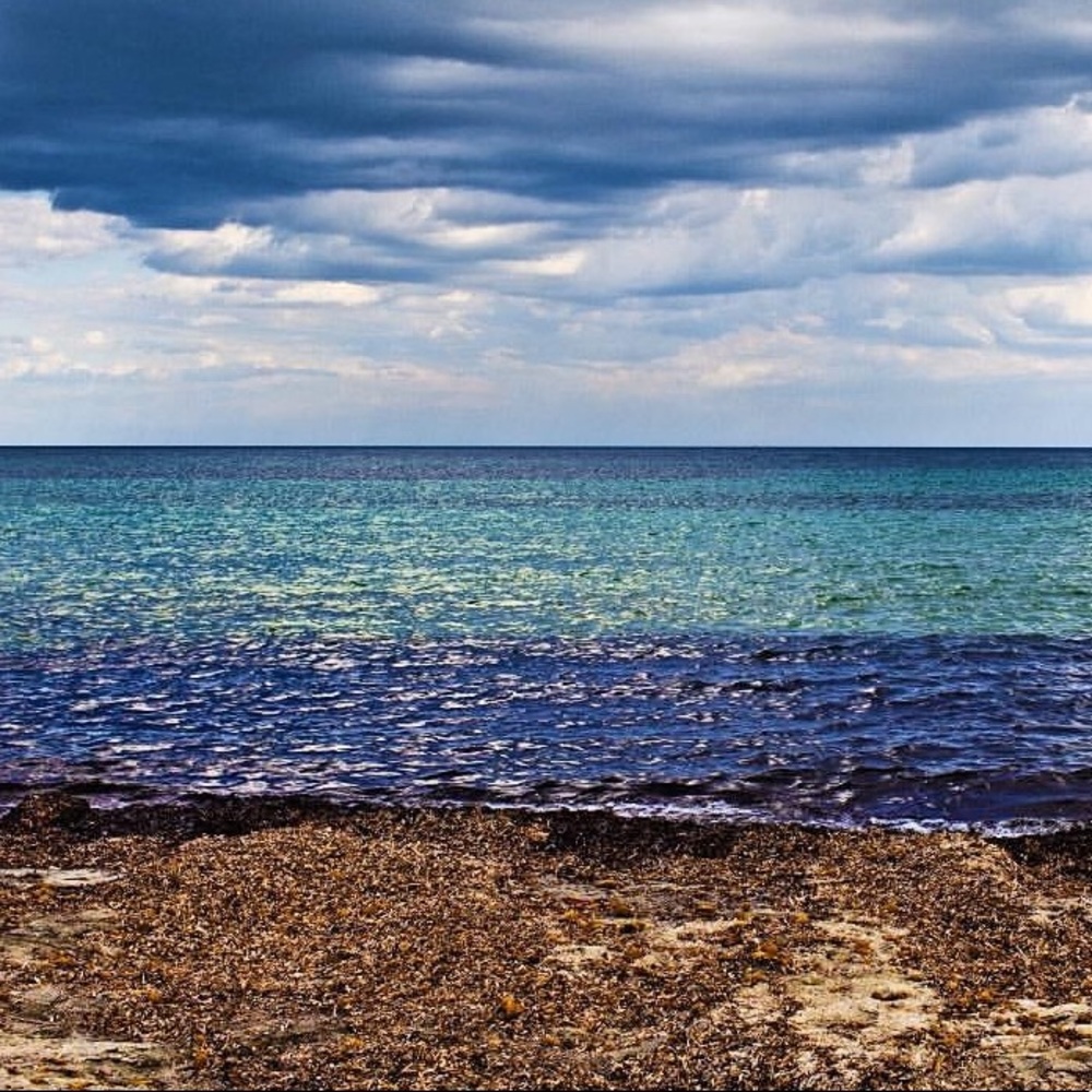 Meet your Posher, Boho Wanderer